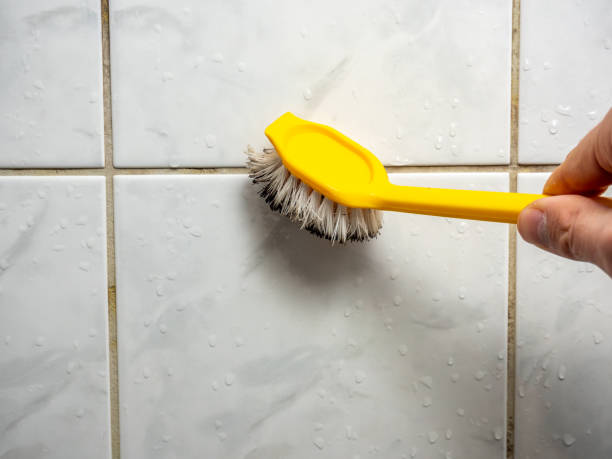 Best Affordable Mold Removal  in Brookfield, WI