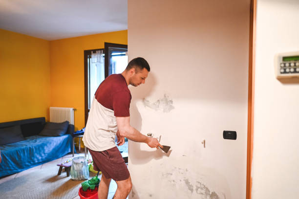 Home Mold Removal in Brookfield, WI
